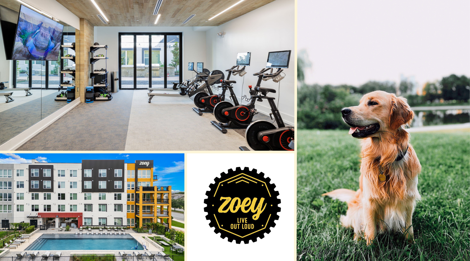 The Zoey East Austin Apartments The Zoey East Austin Apartments